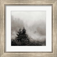 Rising Mist, Smoky Mountains Fine Art Print