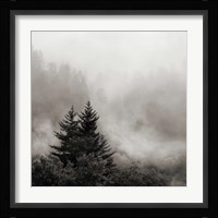 Rising Mist, Smoky Mountains Fine Art Print