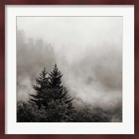 Rising Mist, Smoky Mountains Fine Art Print