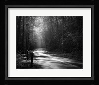 Tremont Road, Smoky Mountains Fine Art Print