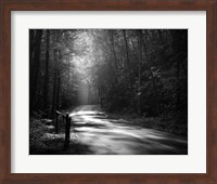 Tremont Road, Smoky Mountains Fine Art Print