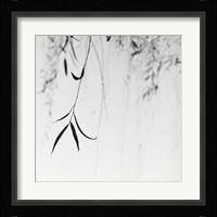 Willow Print No. 1 Fine Art Print