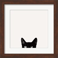 Curiosity Fine Art Print