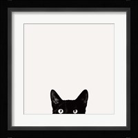 Curiosity Fine Art Print