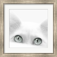 Diva Fine Art Print