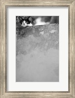 Dreamin' Fine Art Print