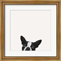 Loyalty Fine Art Print