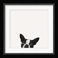 Loyalty Fine Art Print
