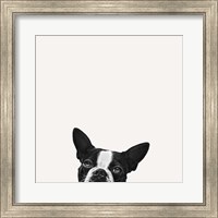 Loyalty Fine Art Print