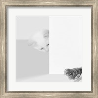 Peek a Boo Fine Art Print