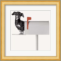 You've Got Mail Fine Art Print