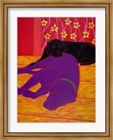 Let Sleeping Dogs Lie Fine Art Print