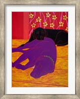 Let Sleeping Dogs Lie Fine Art Print