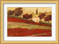 Papaveri Toscana I Fine Art Print