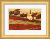 Papaveri Toscana I Fine Art Print