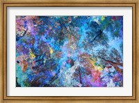 Dreaming up to the Trees Fine Art Print
