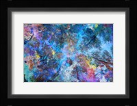 Dreaming up to the Trees Fine Art Print