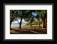 Ancient Family Fine Art Print