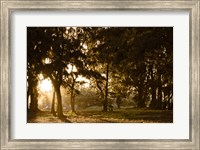 Daybreak Fine Art Print