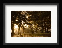Daybreak Fine Art Print