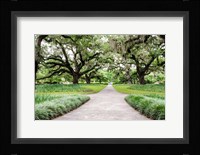 Garden Entrance Fine Art Print