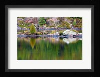 Reflections Fine Art Print