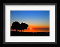 Rise and Shine Fine Art Print