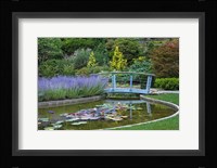 Serenity Fine Art Print