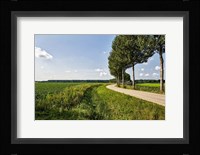 The Road Ahead Fine Art Print