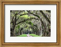 The Old South Fine Art Print