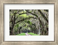 The Old South Fine Art Print