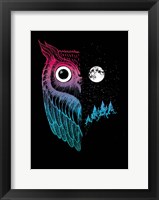Night Owl Fine Art Print