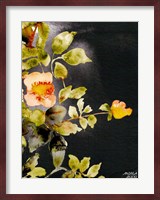 Roses on Black Fine Art Print