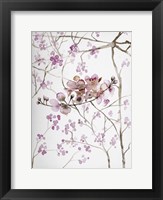 Cherry Blossoms Fine Art Print