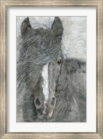 Horse in the Wind Fine Art Print