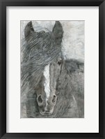 Horse in the Wind Fine Art Print