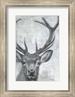 Portrait of a Deer Fine Art Print