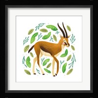 Safari Cuties Gazelle Framed Print