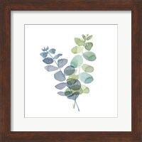 Natural Inspiration Blue Eucalyptus on White I Fine Art Print