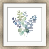 Natural Inspiration Blue Eucalyptus on White II Fine Art Print