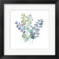 Natural Inspiration Blue Eucalyptus on White II Framed Print