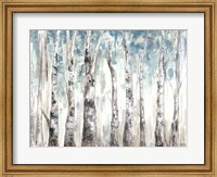 Winter Aspen Trunks Blue Fine Art Print