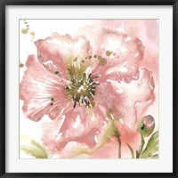 Blush Watercolor Poppy II Fine Art Print