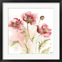 Blush Watercolor Poppy III Fine Art Print