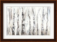 Winter Aspen Trunks Neutral Fine Art Print
