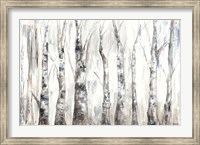 Winter Aspen Trunks Neutral Fine Art Print
