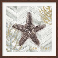 Gray Gold Chevron Star Fish Fine Art Print