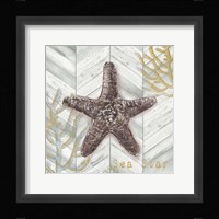 Gray Gold Chevron Star Fish Framed Print