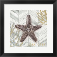 Gray Gold Chevron Star Fish Framed Print