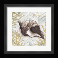 Gray Gold Chevron Conch Shell Framed Print